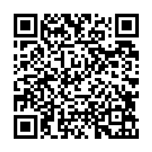 其实我昨晚又在美姬的肚子里播下了不少的种子二维码生成