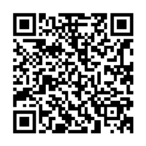 其实我本来已经打算把你给卖了……刚才我只是虚张声势而已二维码生成