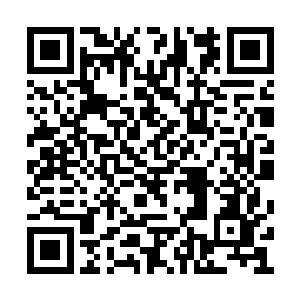 其实我羽化部真心不想收你这个青木南林的废物二维码生成