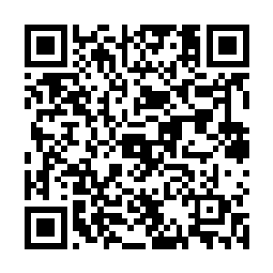 其实所有人都知道梓箐一门心思的想要嫁给自己的儿子二维码生成