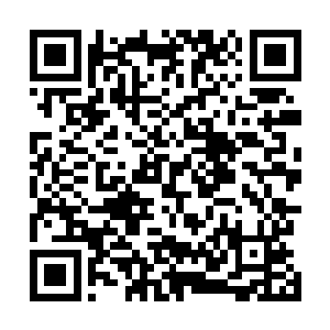 其实收了表小姐不少好处也几乎没有在大少爷面前说起过二维码生成