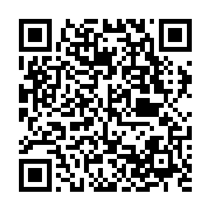 其实是一桩稳賺不赔的生意………………一切都已经改变二维码生成