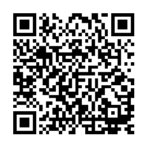 其实最主要还是因为他自己对于经纪人这个位置的理解不够深刻二维码生成