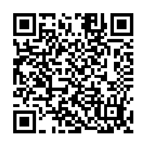 其实最后的争夺基本上就是在薇诺娜和安娜之间展开了二维码生成