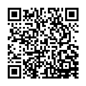 其实最后这几句话还是暴露了他也担心方圆公司报复二维码生成