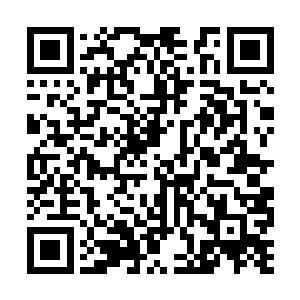 其实最开始我以为苍阎捉了玉清只是为了来要挟我二维码生成