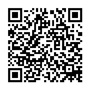 其实本就存了要它们死的意思……那只狮子快要上品了吧二维码生成