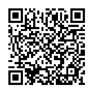 其实李林并没有要阻止妹妹拿吊坠来感恩的意思二维码生成