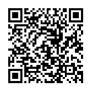 其实林辰真的很想通过沐剑枫来寻找到对方的师傅二维码生成