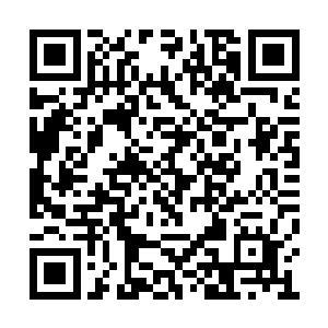 其实每天能够看到大美女就是很大的一笔房租了二维码生成