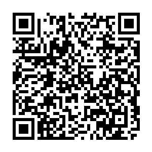 其实比这个世界的每一个人――包括活了不知道多少年的老怪物或者神明二维码生成