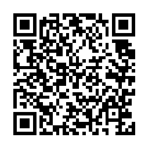 其实洪大力倒是真没合计这夜总会老板会对他起什么歹心二维码生成