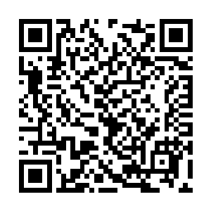 其实玛丽莎在好莱坞一直不是那种大红大紫的演员二维码生成