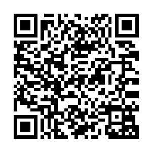 其实绿色流星和嗜蕉者也并不是完全无法对眼前的战斗进行干涉二维码生成