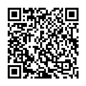 其实若不是昨夜瞧见了眼前的这个女子和季宸渊翻云覆雨二维码生成