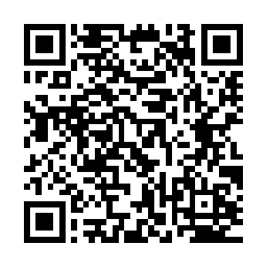 其实要是建好之后水线上的部分从侧面乍一着和普通船一个样子二维码生成