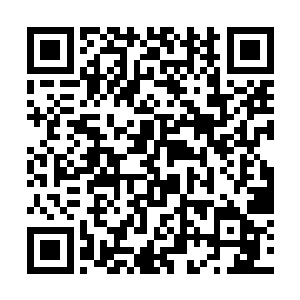 其实这也是第六十六届奥斯卡结束之后最火热的焦点二维码生成