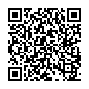 其实这些秘籍洪大力也就是看金庸小说的时候记了个名字二维码生成