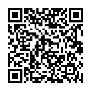 其实韦恩斯坦兄弟从戛纳电影节的时候就开始在思考二维码生成