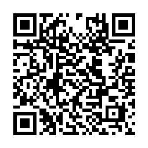 其实高扬觉得就这么放任两具尸体这么扔着也可以二维码生成