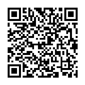 其带着的恐怖风啸吹的叶楚的脸有着火辣辣的疼痛二维码生成