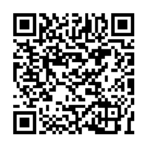 其手掌外围轮廓被一层虎头模样的元气包裹起来二维码生成