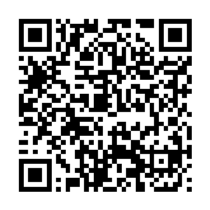 其次就是熊孩子和安琪儿这两个拥有纯血圣灵之人二维码生成