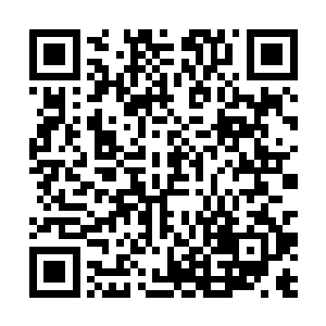 其次就更简单纯粹一点……那四项规则出自我的手笔二维码生成