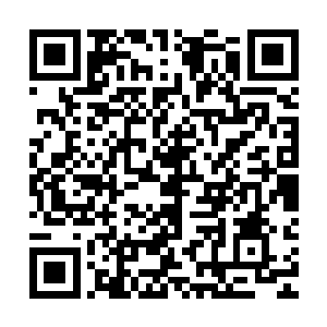 其背后的九百多名机甲兵驾驶着旋风王者机甲和五十名先天手下二维码生成