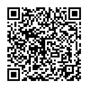 其身上一些还没化去的随身物品七零八落地落进了龙焰池的深深火坑内二维码生成