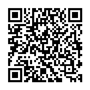 其身上的火力配备已经远超敌人追击新生所使用的银白色战舰二维码生成
