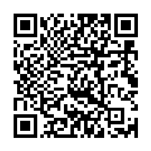 其食物的分配权和处置权归参加集体行动的兄弟会成员共同所有二维码生成