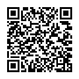 其麾下大多数的神术师牧师圣武士都无法获得其响应二维码生成