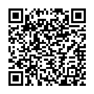 具体感觉就和每次穿上飞鼠服从一个不熟悉的地方跳下去差不多二维码生成