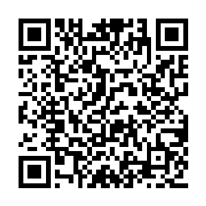 具备神与魔双重特性的生命体做成了封印的枢纽二维码生成