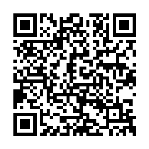 养尊处优胆子不比老鼠大的大白猫通体雪毛竖起二维码生成