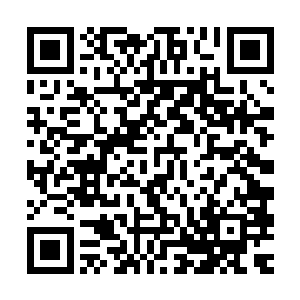 养的会水的灵兽甚至一些神识强大的修真者都能直接探到海底的二维码生成