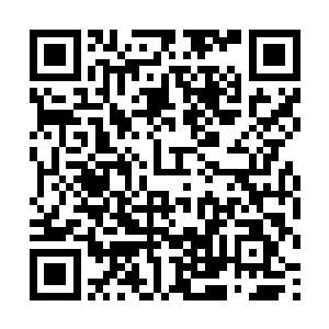 养足了精神来迎接他生命中第一次真正要过的情人节二维码生成