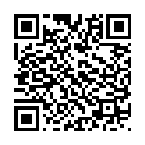 养这么多的人需要多大的资源消耗二维码生成