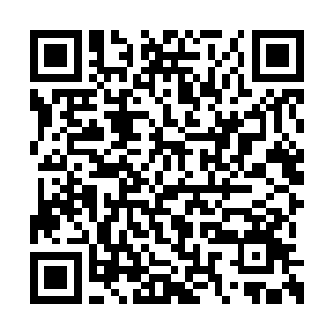 内外两层中有许多密密麻麻的有规律的网状东西二维码生成