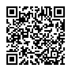 内心的一丝丝嫉妒也随着对方的这个举动消失了二维码生成