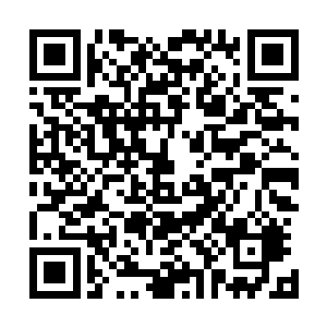 冉云婷忽然发现这个同样出身通玄大陆的外岛弟子有些碍眼二维码生成