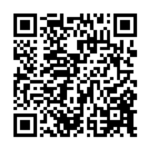 再一想起每一个都是战力强悍而且还能疯狂自爆的恶魔二维码生成