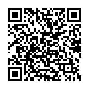 再三确认它的小身子没有异样之后才松了一口气二维码生成