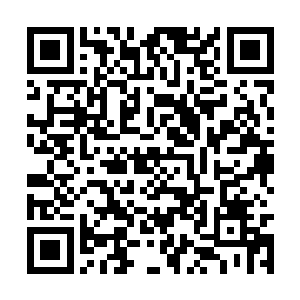 再不及攻击已是急急放出自己拥有的最强防御术法二维码生成