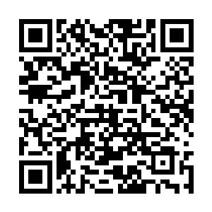 再也不会因为手上沾染了鲜血就感觉到惊慌和恐惧二维码生成