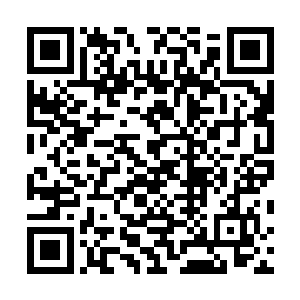 再也无法上演之前那幅抢了龙还能顺利逃生的神奇画面了二维码生成