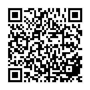 再也没有专门做针线的日日不停地为卢八娘和旭儿做各季的衣服二维码生成