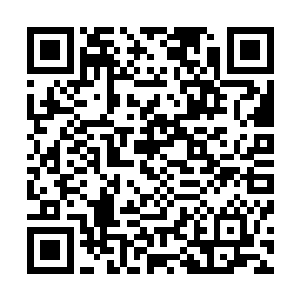 再也没有任何一个生命体能进入神血湖中坚持超过一小会儿二维码生成