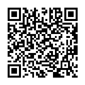 再也看不到张毅身上这股年轻人方才具备的血性与锐气了二维码生成